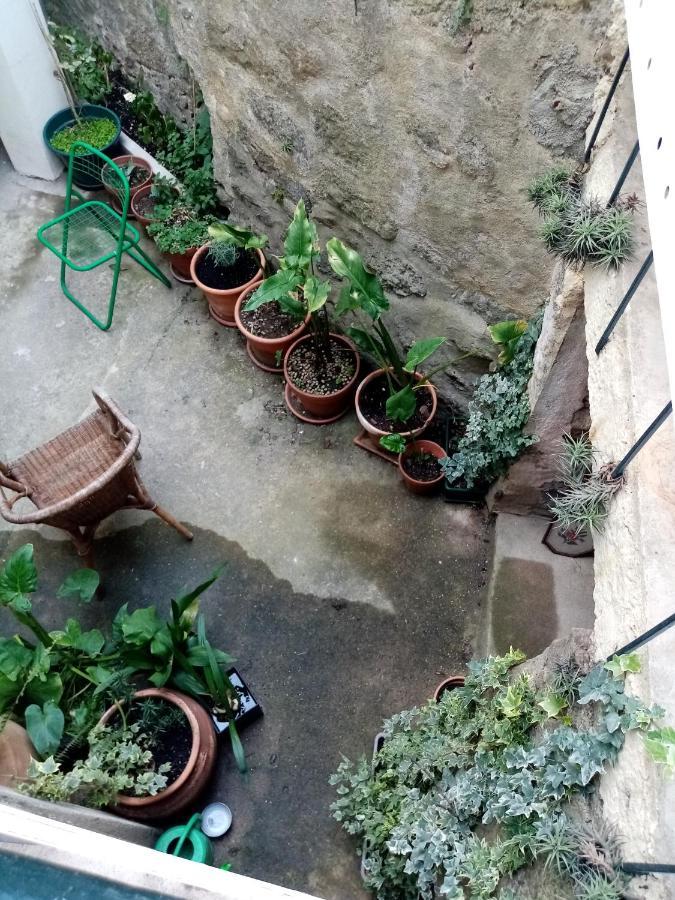 Готель Casa Da Judiaria Velha Візеу Екстер'єр фото